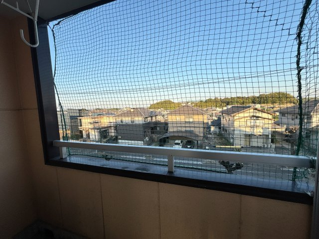 メーホーハイムの展望