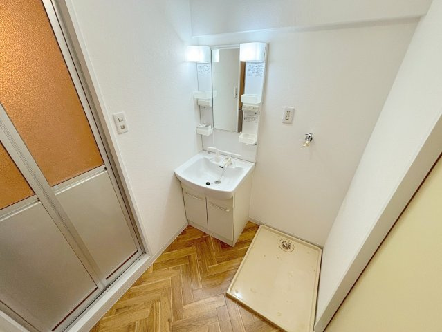 グランデ・イチリューの洗面所