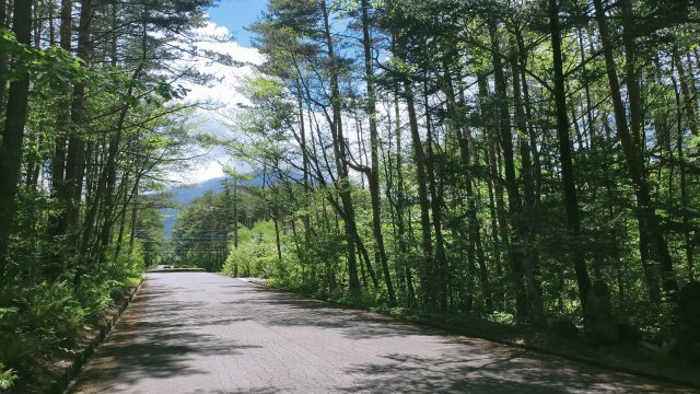 浅間ハイランドパーク ゲート至近の中古戸建の前面道路含む現地写真