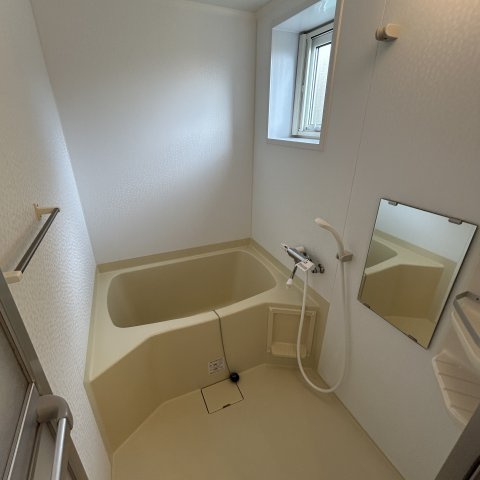 メゾネット・RAIBA-95の浴室