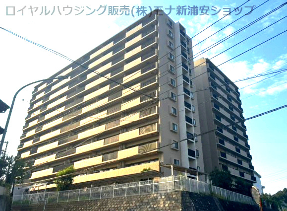 の-の画像