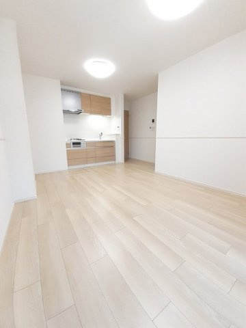 フェリス　ガト　Ａのその他