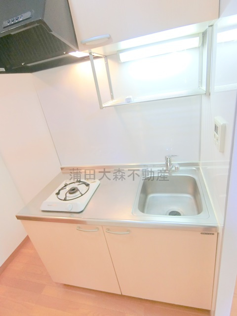 雑色駅人気賃貸マンションのキッチン|ガスコンロのシステムキッチン