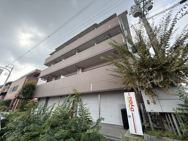 エバーグレイス