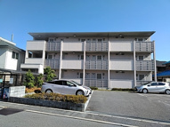 エバーグリーンの画像