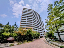 タイムズ・ピース・スクエア・スイートガーデンシティの画像