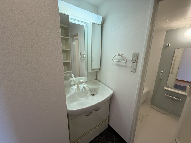 Minoo Hillsの独立洗面台