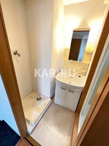 メゾンクレアスタイルの洗面所