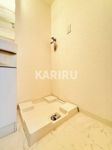 ドゥーエ森ノ宮 の洗面所