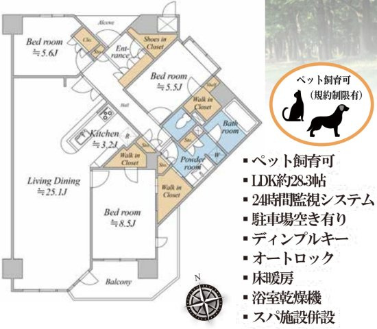 マークスプリングス・メゾンC【仲介手数料無料】ペット可♪の間取り