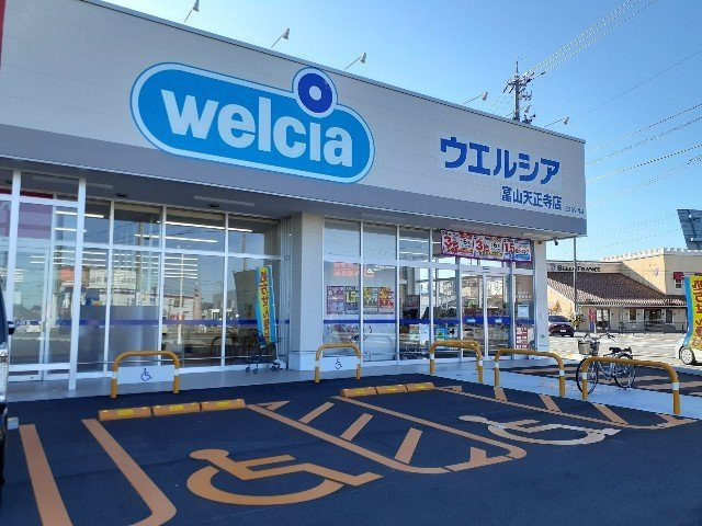 リアン町村の周辺|ウエルシア富山天正寺店まで600m