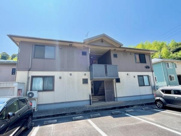 ブルーパージュの画像