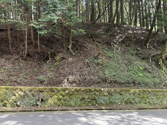 【外観】 | 東急天城高原別荘地　売地