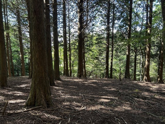 【外観】 | 東急天城高原別荘地　売地
