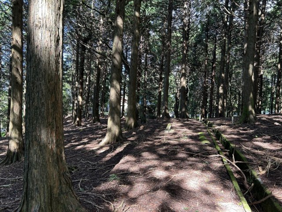 【外観】 | 東急天城高原別荘地　売地