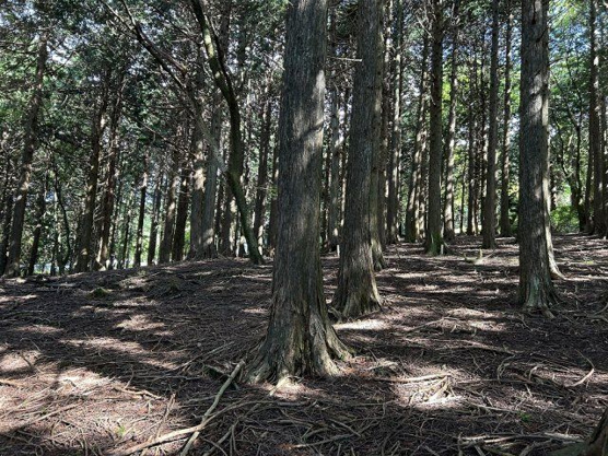 【外観】 | 東急天城高原別荘地　売地