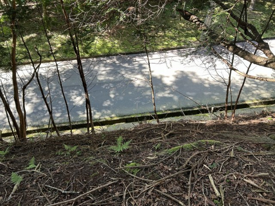 【外観】 | 東急天城高原別荘地　売地