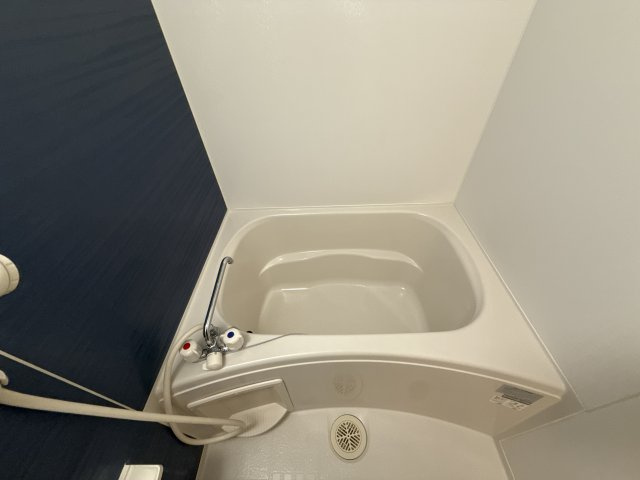 ワイズ　コンブリオの浴室