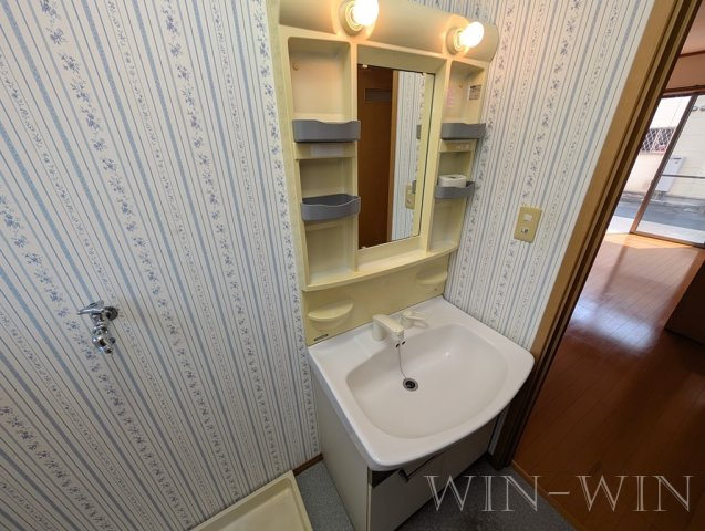 ヴィラ大岩 弐番館の独立洗面台