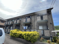 ルナコートの画像