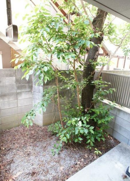 ドルチェ雑司が谷の展望|(同一仕様写真)