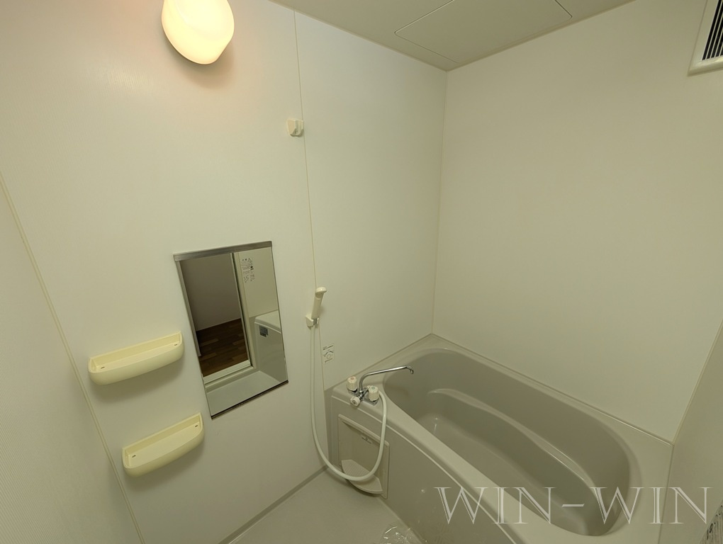 エミール大岩の浴室