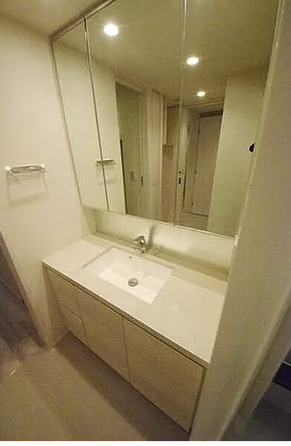 ザ・パークハビオ上野の洗面所