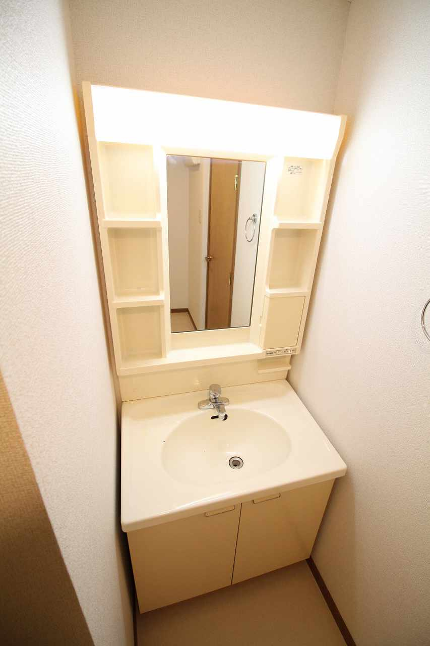 ミレニアムＡの洗面所