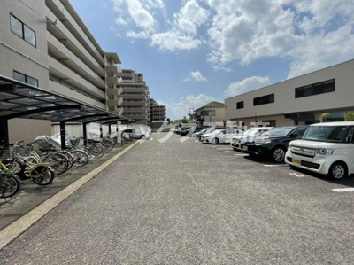  | パストラル柳丸Ⅰ