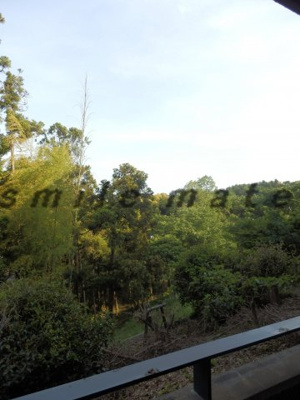 【展望】 | コートハウス鎌倉山