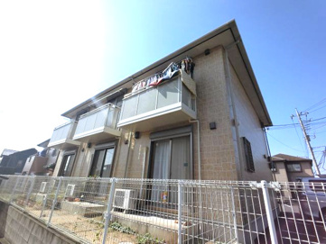 アコルテの画像