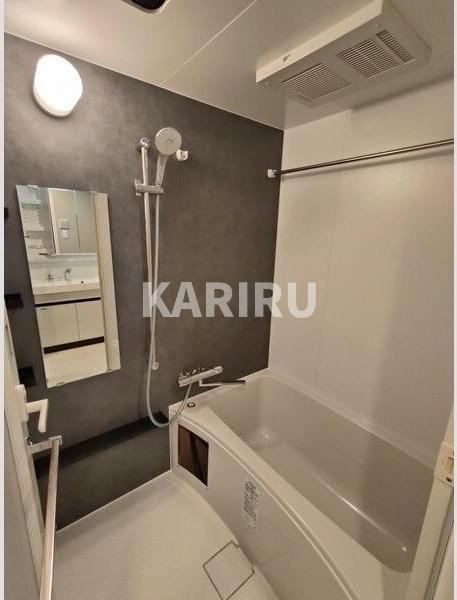 S-RESIDENCE天満橋arの浴室