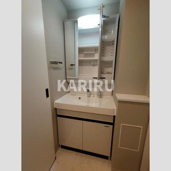 S-RESIDENCE天満橋arの洗面所