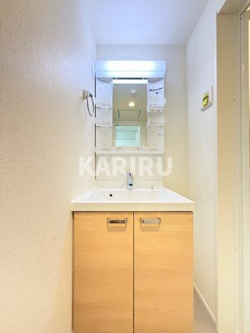 ベル　ルミエール中川の洗面所