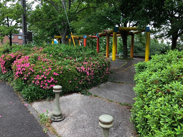 Ｓｕｎｎｙ ＨｅｉｍｓⅢのその他|中川ゆうひがおか公園