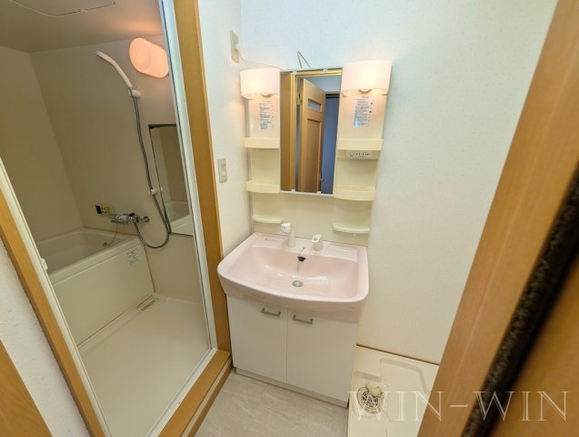 ライフパーク・ミナミの洗面所