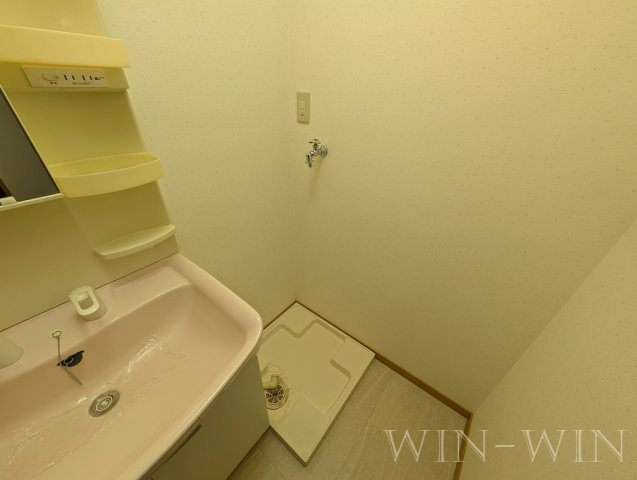 ライフパーク・ミナミの洗面所