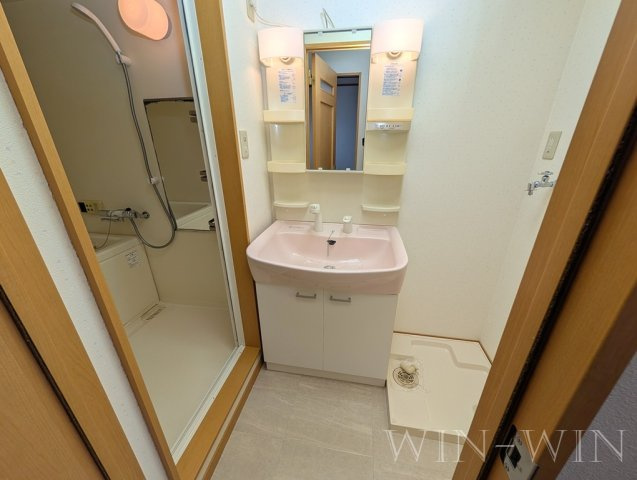 ライフパーク・ミナミの洗面所