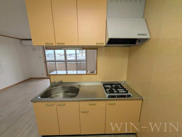 ライフパーク・ミナミのキッチン