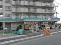 ドラッグセイムス柄沢店まで560m
