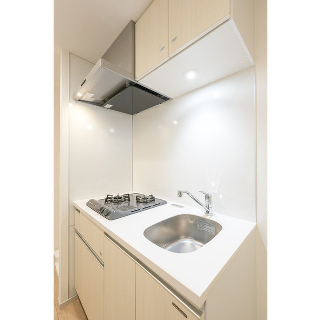 スタイリオフィット溝の口のキッチン