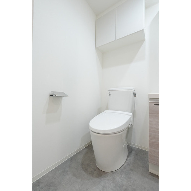 スタイリオフィット溝の口のトイレ