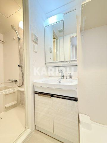 エスリード難波AGREAの洗面所