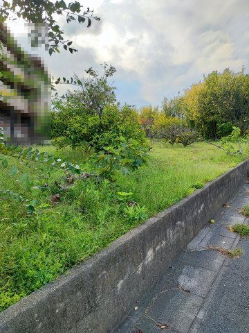 碧南市丸山町5丁目の土地図