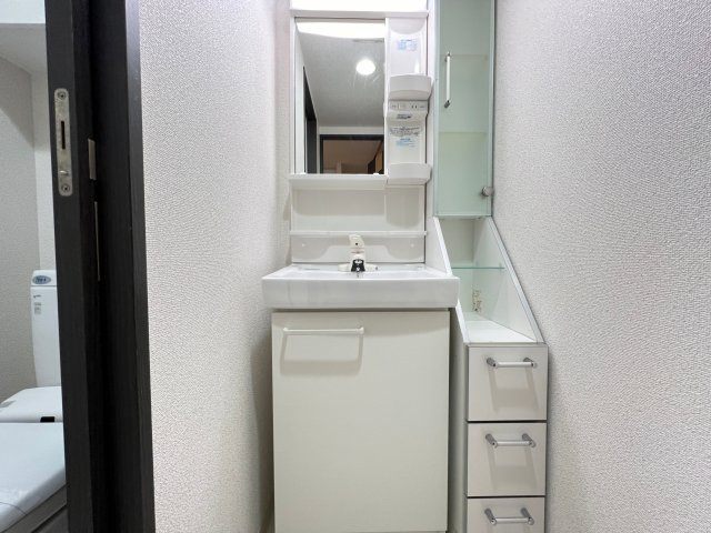 エステムコート心斎橋EASTIIラヴァンツァの洗面所