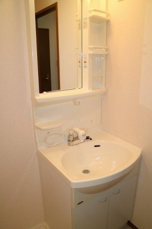 シャルマンコート北野の洗面所