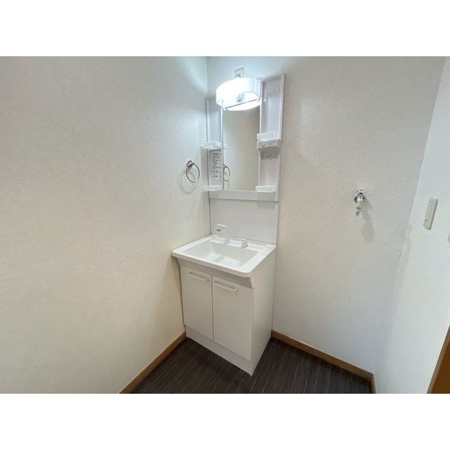 リエス館林の洗面所