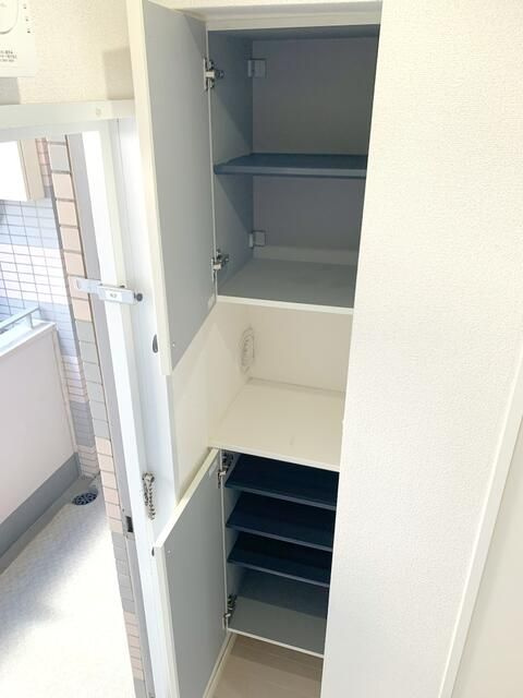 ラフィーネひばりヶ丘の収納