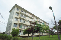 加茂川団地15号棟の画像