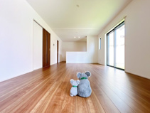 前橋市天川大島町　新築住宅の画像